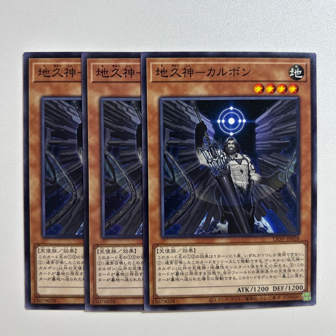 11314 地久神-カルボン ノーマル JP028