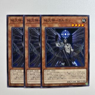 11314 地久神-カルボン ノーマル JP028