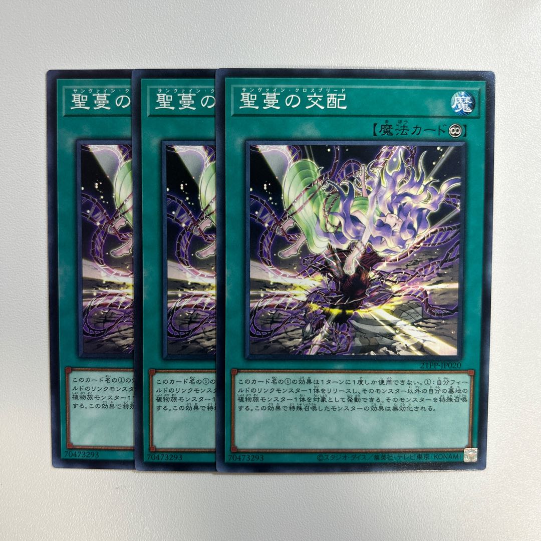 11319 Sunvine Cross Breed *666