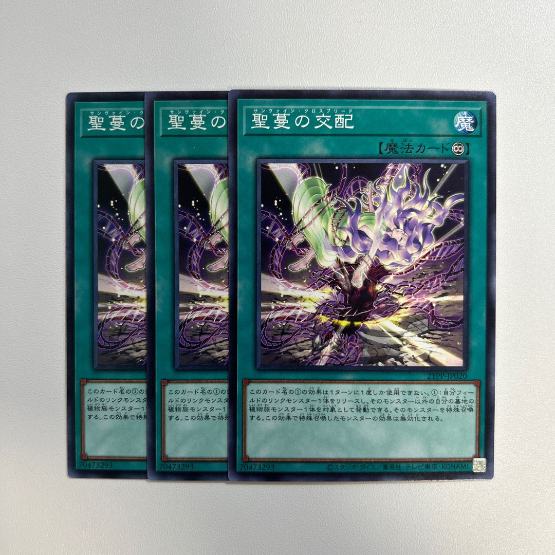 11320 Sunvine Cross Breed *667