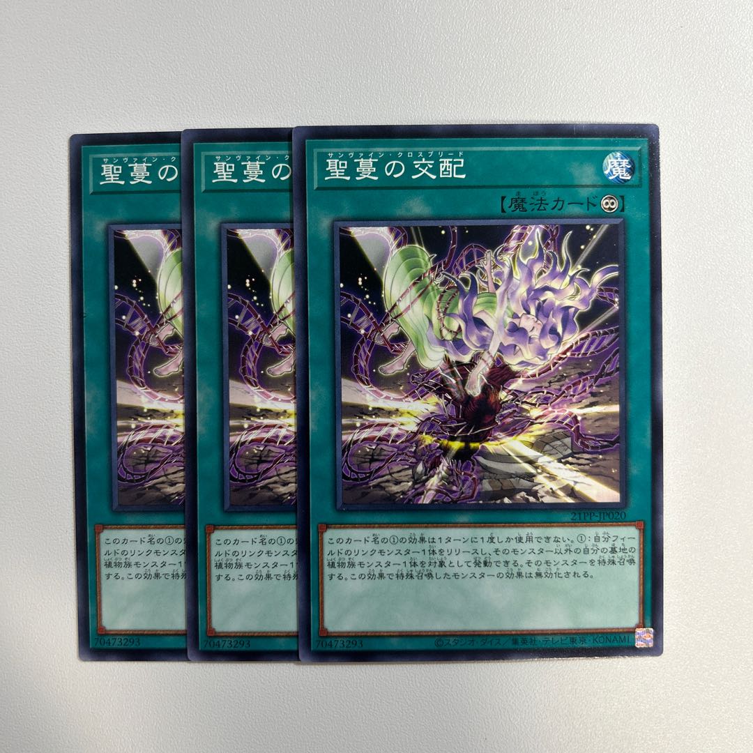 11322 Sunvine Cross Breed *669