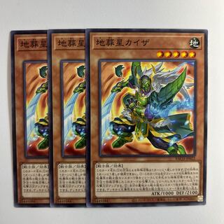 11336 Kaiser, the Earth Burial Star Normal JP022