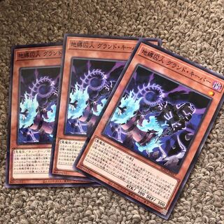 Earthbound Prisoner, Groundskeeper Parallel Normal JP017 1枚