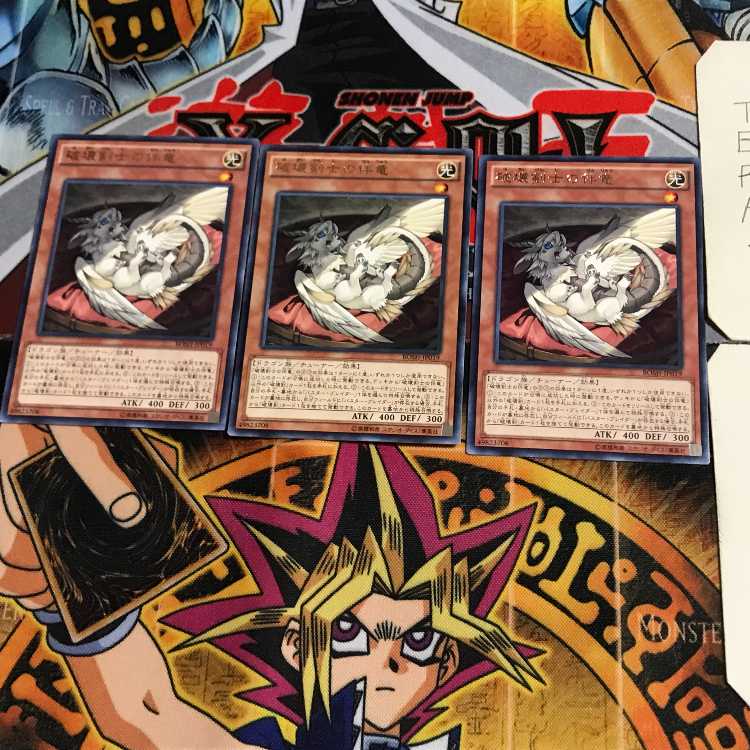 破壊剣士の伴竜 BOSH 5 レア 3枚セット てら