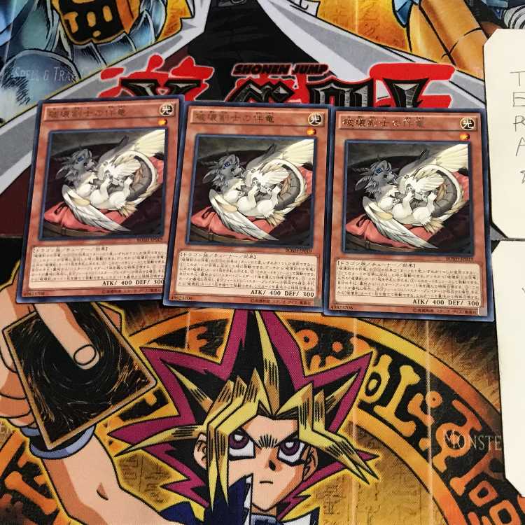 Buster Whelp of the Destruction Swordsman BOSH 6 Rare Set of 3 Terra