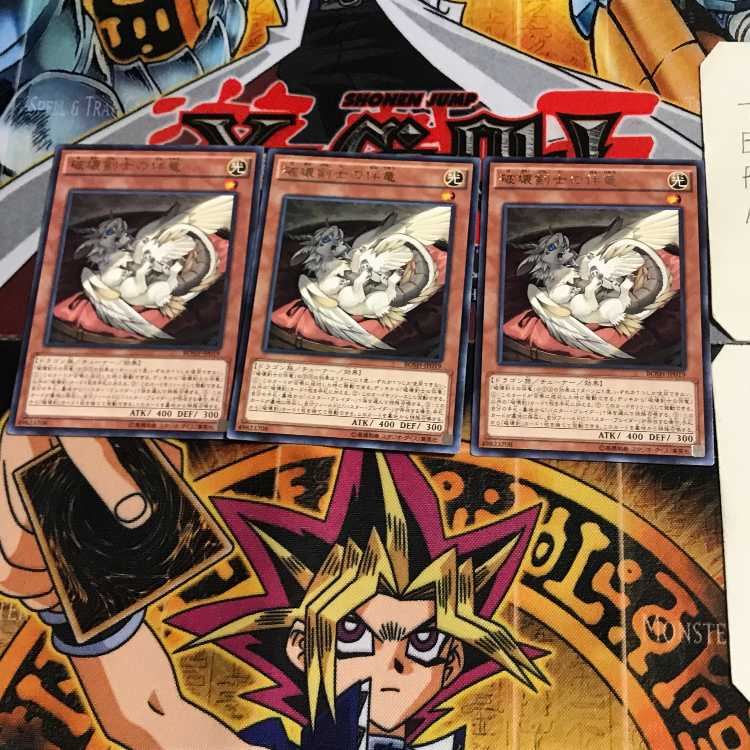 破壊剣士の伴竜 BOSH 8 レア 3枚セット てら