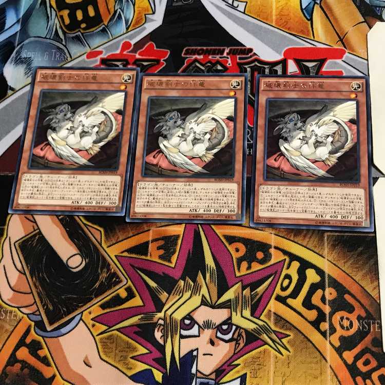 破壊剣士の伴竜 BOSH 9 レア 3枚セット てら