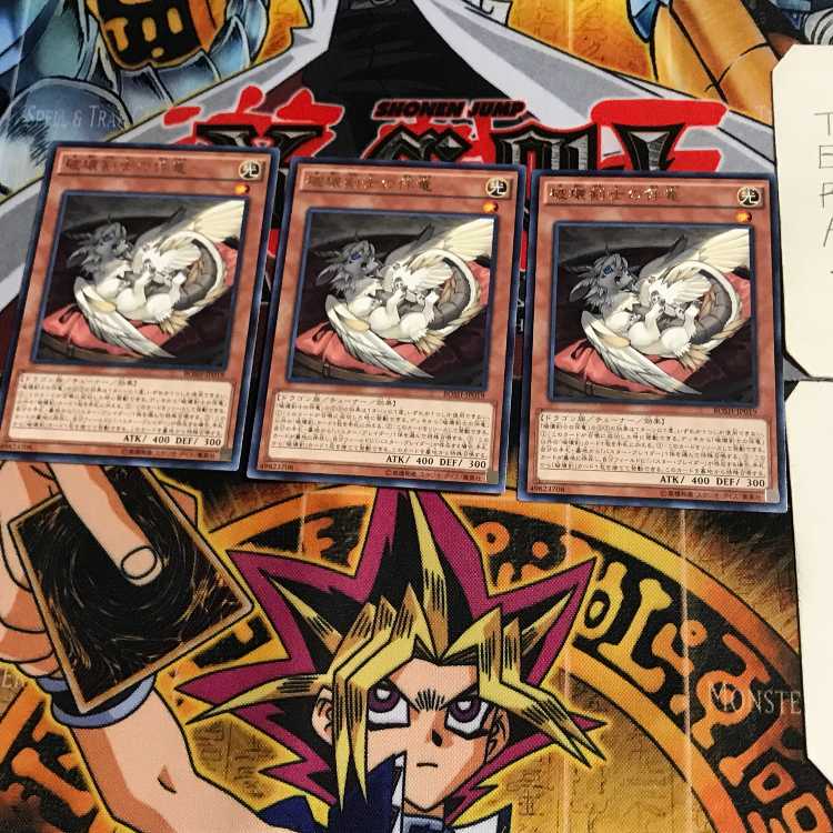 Buster Whelp of the Destruction Swordsman BOSH 10 Rare Set of 3 Tera.