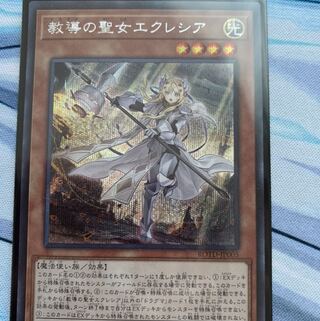 教導の聖女エクレシア SE