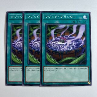 11352 Magic Planter *705