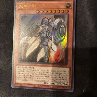 教導の騎士フルルドリス UR