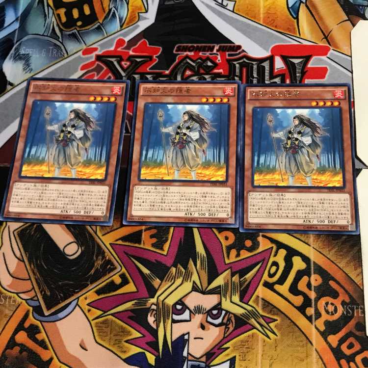 不知火の隠者 TDIL 2 レア 3枚セット てら