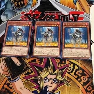 Shiranui Solitaire TDIL 2 rare, set of 3 Tera.