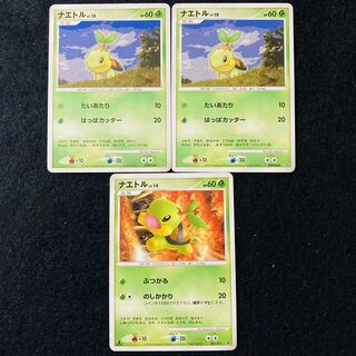 ナエトル 001/013