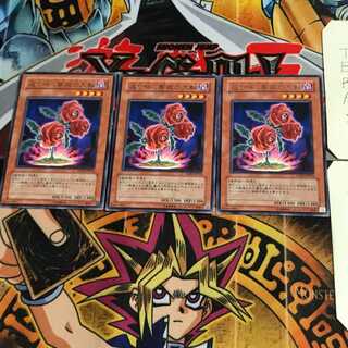 返り咲く薔薇の大輪 TSHD 6 レア 3枚セット てら