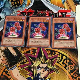 返り咲く薔薇の大輪 TSHD 7 レア 3枚セット てら