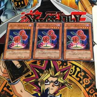 返り咲く薔薇の大輪 TSHD 10 レア 3枚セット てら