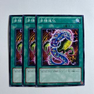 11365 Evo-Diversity *722