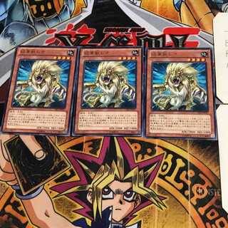 Heraldic Beast Leo CBLZ 6 rare, set of 3 Tera.