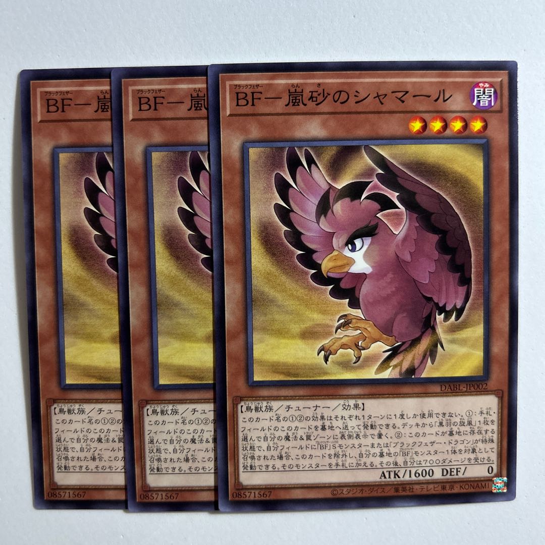 11384 BF-Storm Sand Shamar *745