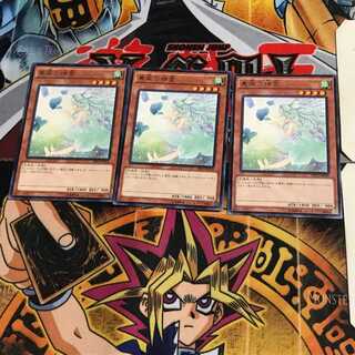 裏風の精霊 SHVI 8 レア 3枚セット てら