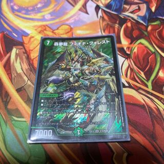 森夢龍 フィオナ・フォレスト SR S16/S20