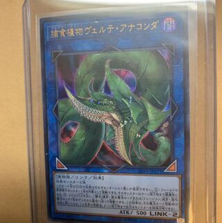 捕食植物ヴェルテ・アナコンダ UR