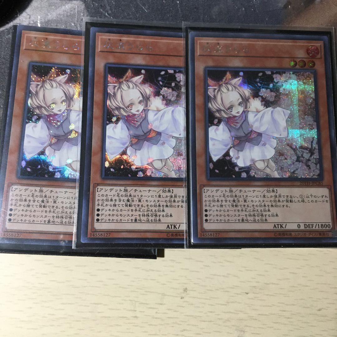 灰流うらら　シク　3枚