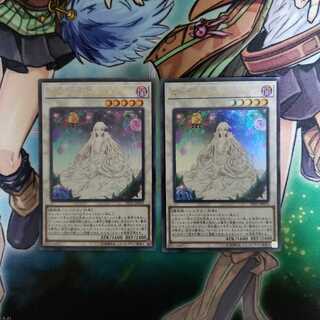 ガーデン・ローズ・メイデン