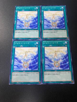 フォトン・リード ノーマル JP024