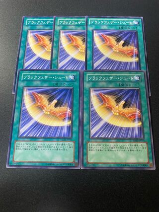 ブラックフェザー・シュート ノーマル JP045