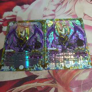 サッヴァークDG 2枚