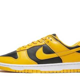 Nike Dunk Low "Iowa" Black/Golden Rod HoWight 24cm