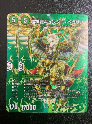 Psychic Shinra Günther, Pegasus VR Psychic12/Psychic38