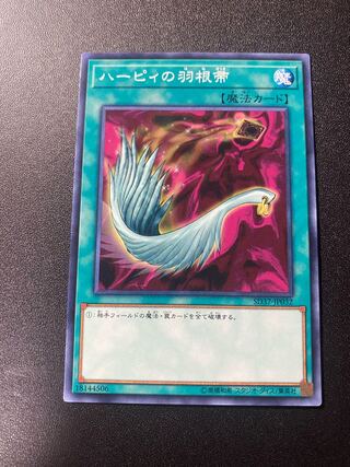 ハーピィの羽根帚 ノーマル JP032