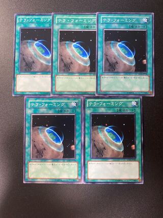 テラ・フォーミング ノーマル JP025