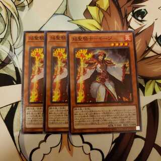 焔聖騎士-モージ