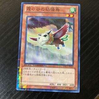 Mist Valley Baby Roc Normal JP069