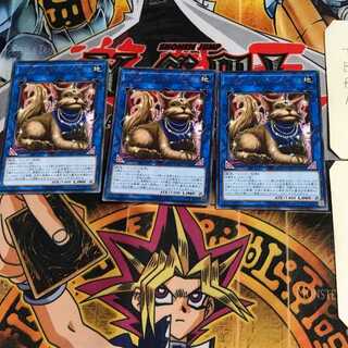 ミセス・レディエント COTD 5 レア 3枚セット てら