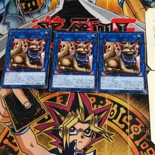 ミセス・レディエント COTD 6 レア 3枚セット てら