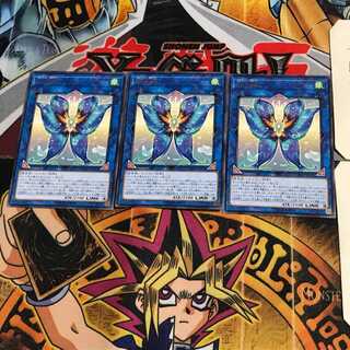 Seraphim Papillion CHIM 5 rare, set of 3 Tera.