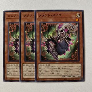 11427 Memento Rosa Su *814