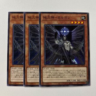 11434 地久神-カルボン ノーマル JP028