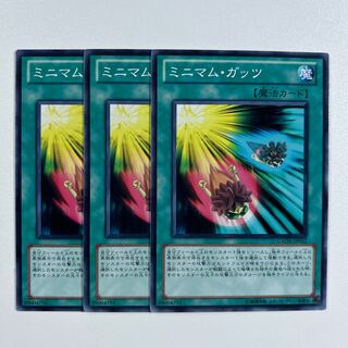 11449 ミニマム・ガッツ ノーマル JP052