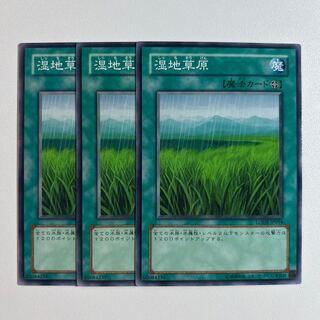 湿地草原　＊848