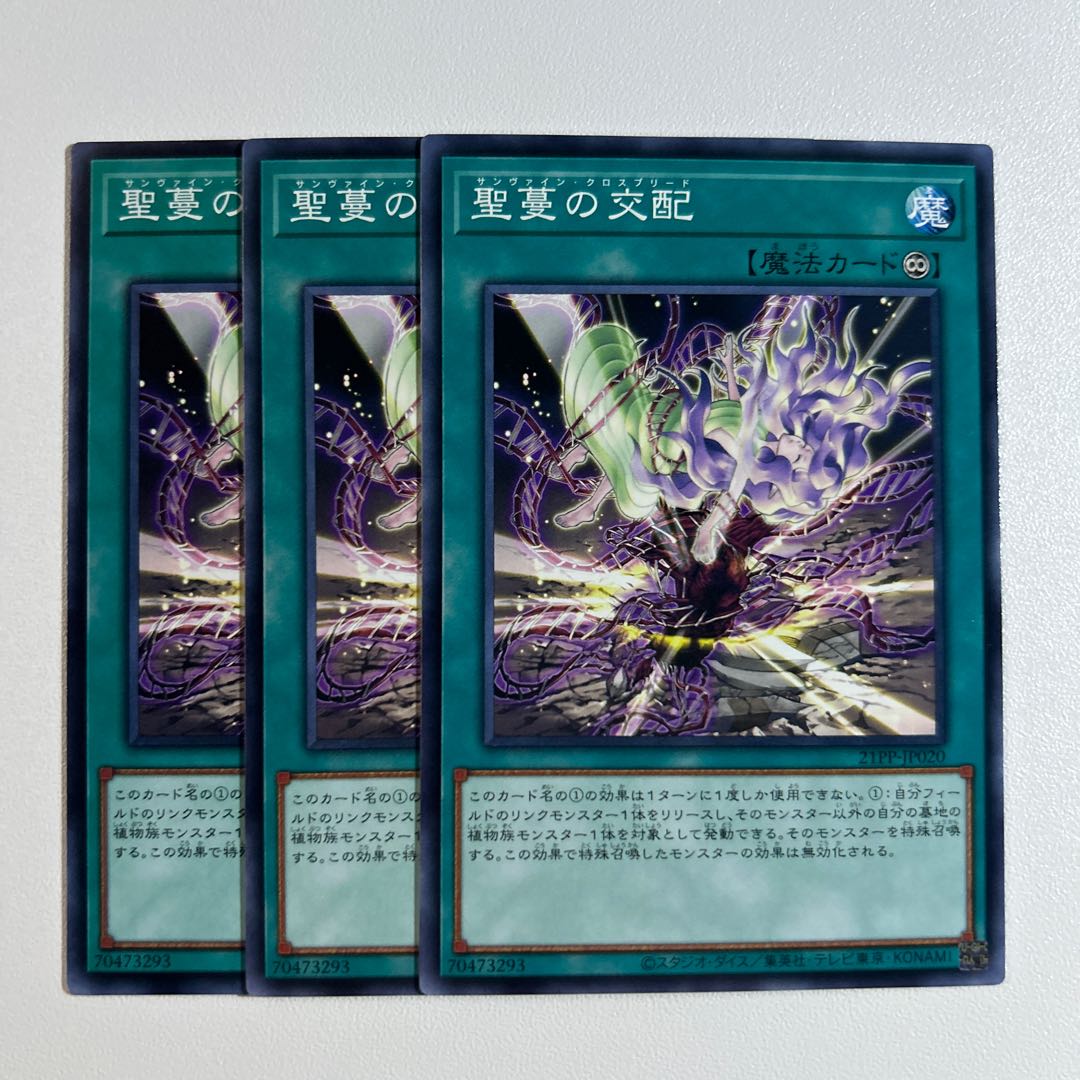 11457 Sunvine Cross Breed *849