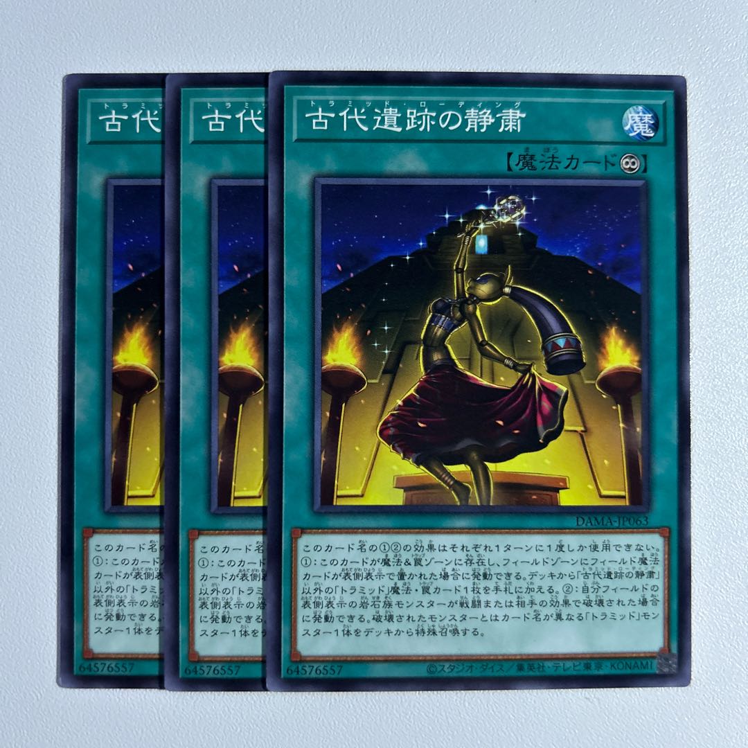 11459 Triamid Loading *851