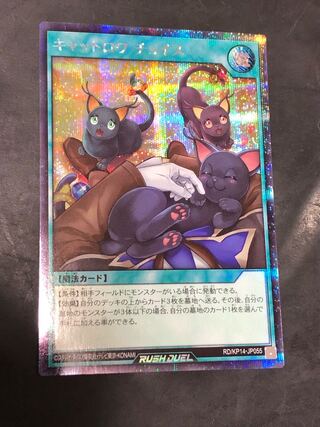 Yu-Gi-Oh Rush Duel Cat Roi Choice Secret