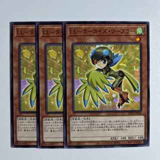 11478 LL-Turquoise Warbler *873