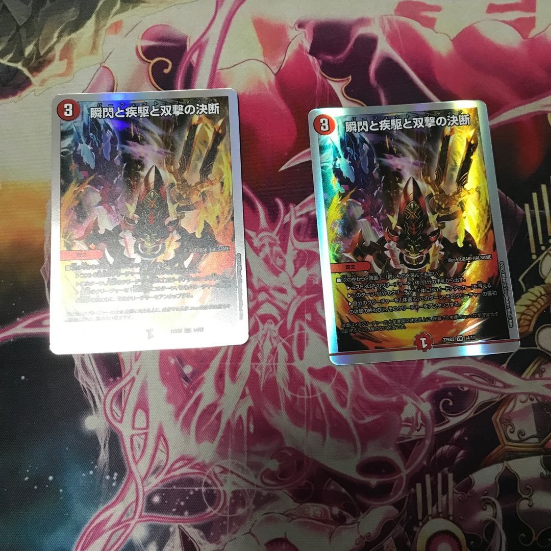 瞬閃と疾駆と双撃の決断 VR 14/17